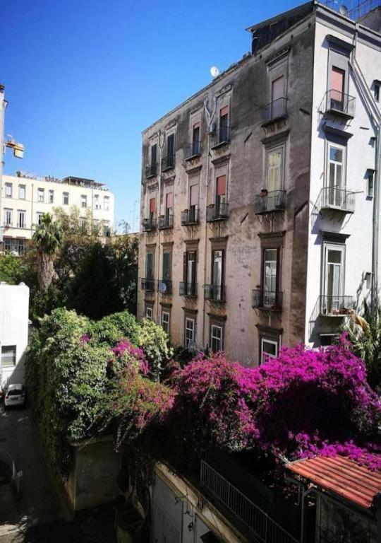 Domus Luigi Leone 2 Bed & Breakfast Napoli Eksteriør bilde